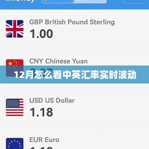 中英汇率实时波动分析（中英汇率走势预测）