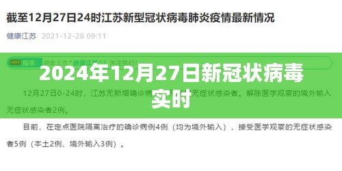 关于新冠病毒的实时动态，2024年12月27日更新