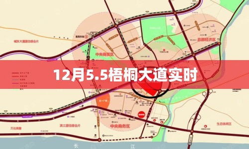 12月5日半日梧桐大道美景实时欣赏