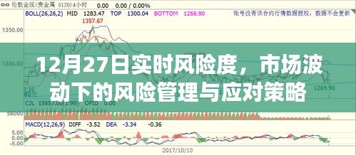 市场波动下的实时风险管理及应对策略（12月27日）