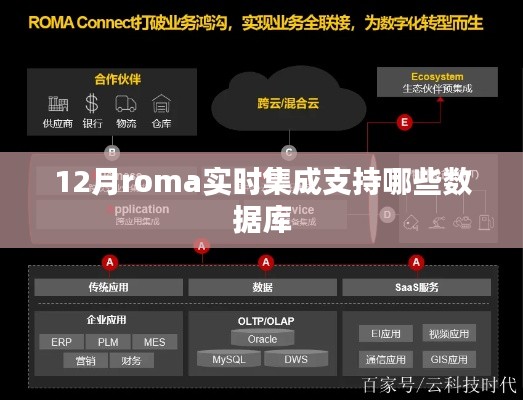 12月roma实时集成支持的数据库列表