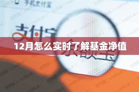 实时掌握基金净值动态，十二月基金净值查询攻略