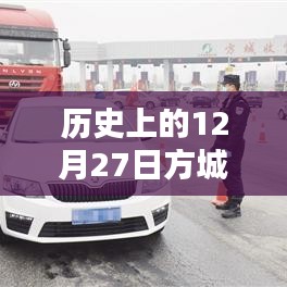 12月27日方城实时病例查询报告，历史数据解析