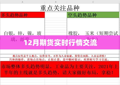 12月期货实时行情深度解析与交流