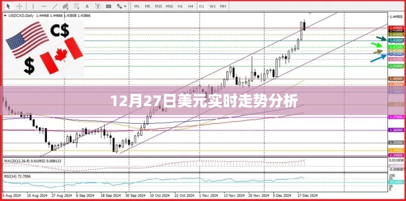 美元实时走势分析，最新市场动态（附图表）