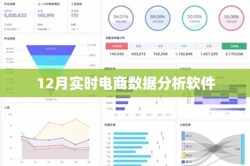 12月电商实时数据分析软件概览