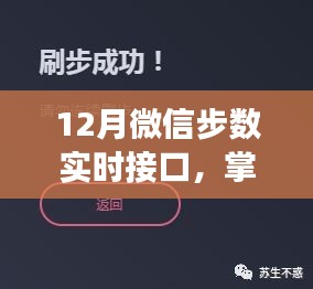 微信步数实时接口，掌握健康步伐数据