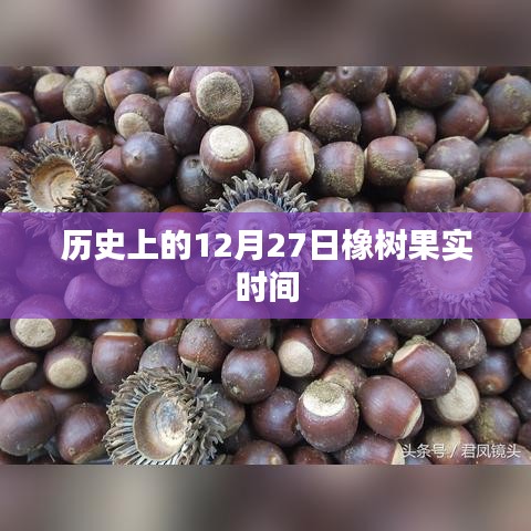 橡树果实时间，历史上的12月27日