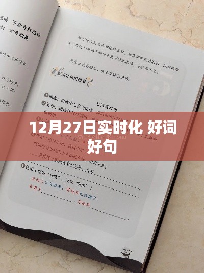 12月27日实时更新，精选好词妙句