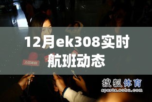 12月ek308航班实时动态信息