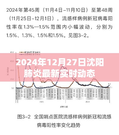 沈阳肺炎最新实时动态消息（2024年12月27日）