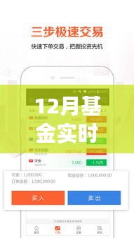 12月基金实时交易平台推荐及特点解析