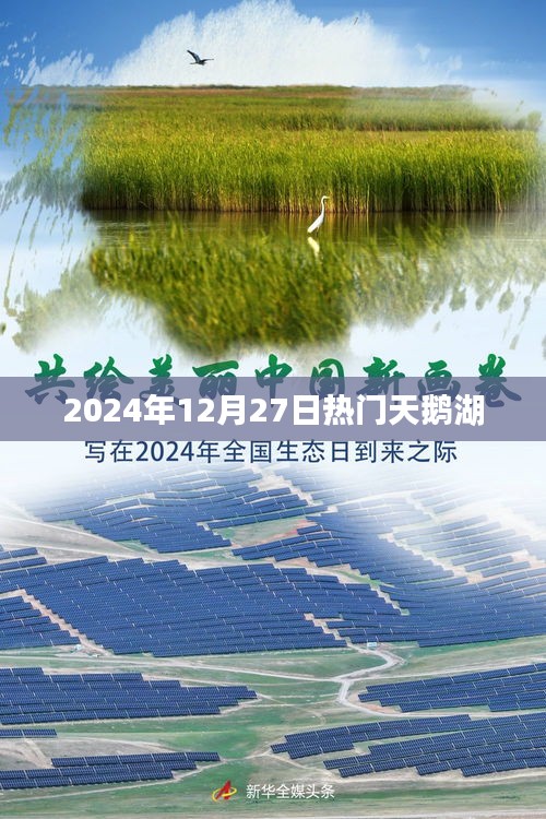 天鹅湖热门资讯，揭秘2024年12月27日的精彩瞬间