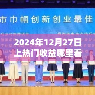 2024年热门收益概览，上热门收益查询指南