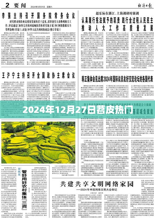 苕皮热门趋势揭秘，2024年12月27日关注焦点