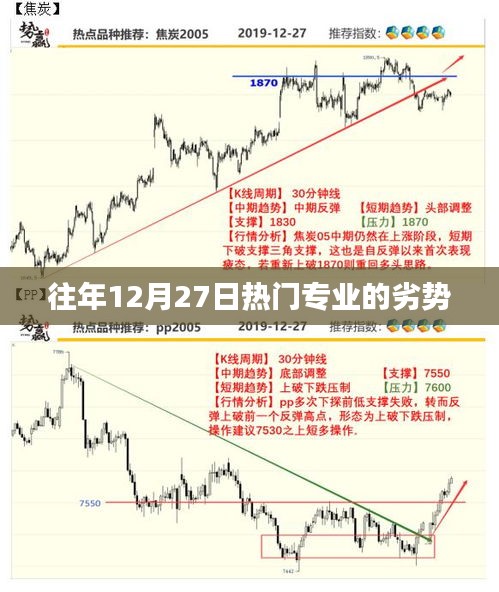 热门专业劣势分析，揭秘往年12月27日热门专业的潜在风险