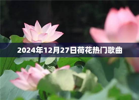 荷花音乐盛典，2024年热门歌曲回顾