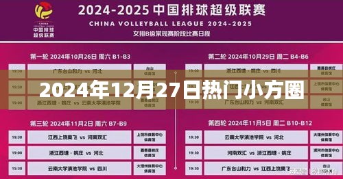 时尚小方圈风潮来袭，揭秘2024年12月27日热门小方圈