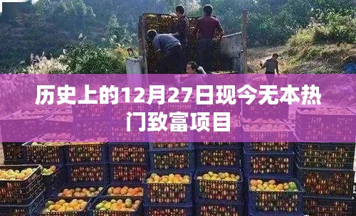 历史上的大事件与现今热门致富项目的探索