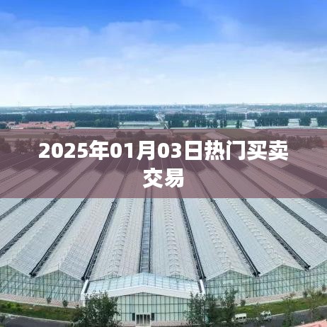 2025年热门买卖交易展望