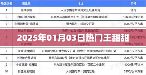 2025年1月3日王甜甜人气飙升