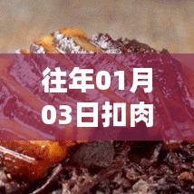 扣肉热门时刻，历年一月三日回顾