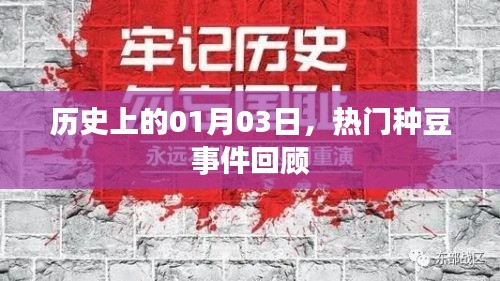 热门种豆事件回顾，历史上的1月3日这一天发生了什么？