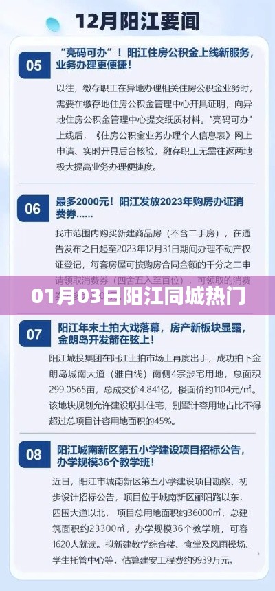 阳江同城资讯热门事件 01月03日动态