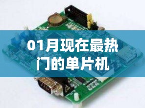 最新热门单片机技术解析