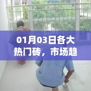 热门砖市场趋势解析，选购指南（日期更新）