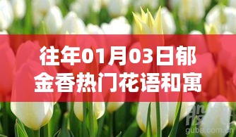 往年元旦郁金香花语与寓意大揭秘