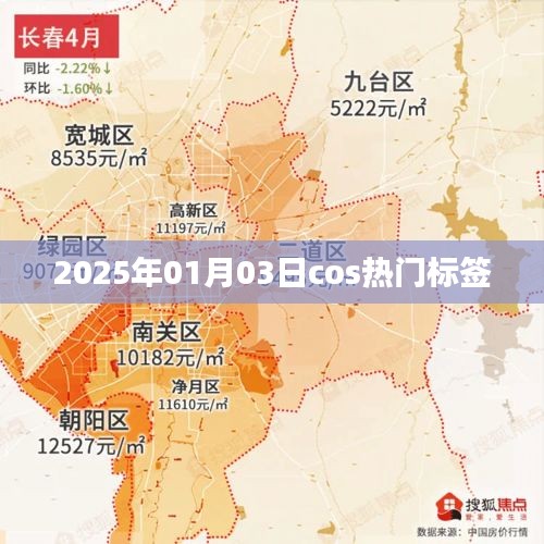 『2025年元旦后cos热门标签大揭秘』