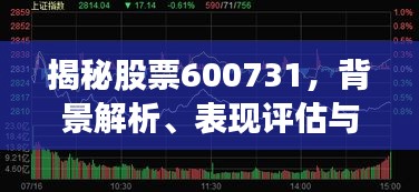 揭秘股票600731，背景解析、表现评估与未来展望