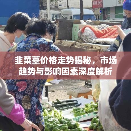 韭菜薹价格走势揭秘，市场趋势与影响因素深度解析