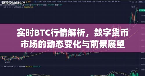 实时BTC行情解析，数字货币市场的动态变化与前景展望