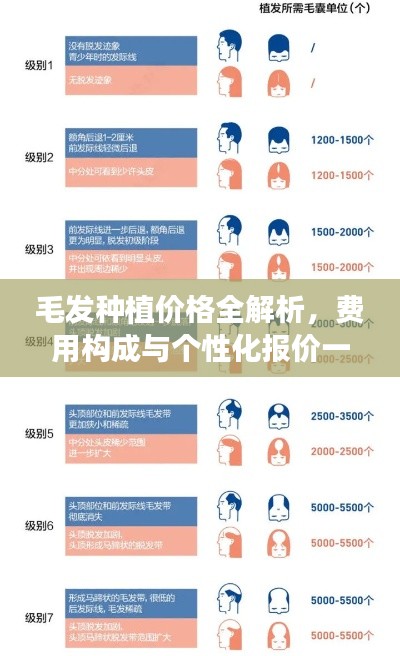 毛发种植价格全解析，费用构成与个性化报价一网打尽！