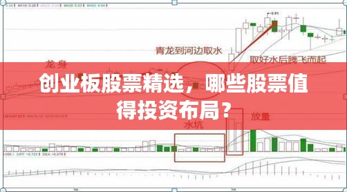 创业板股票精选，哪些股票值得投资布局？