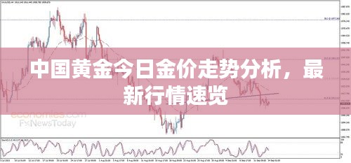 中国黄金今日金价走势分析，最新行情速览