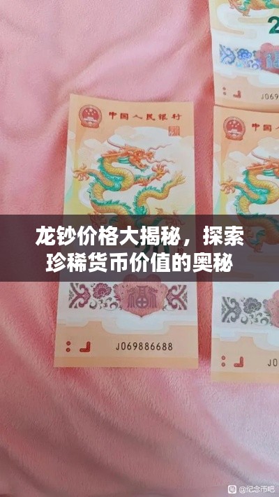 龙钞价格大揭秘，探索珍稀货币价值的奥秘