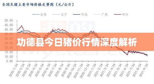 功德县今日猪价行情深度解析