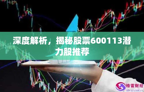 深度解析，揭秘股票600113潜力股推荐