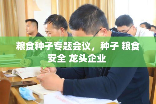 粮食种子专题会议，种子 粮食安全 龙头企业 