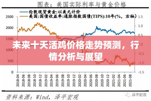 未来十天活鸡价格走势预测，行情分析与展望