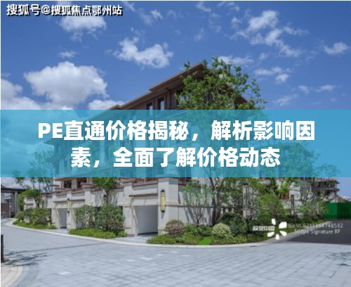 PE直通价格揭秘，解析影响因素，全面了解价格动态