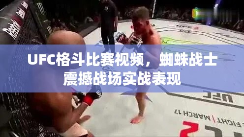 UFC格斗比赛视频，蜘蛛战士震撼战场实战表现