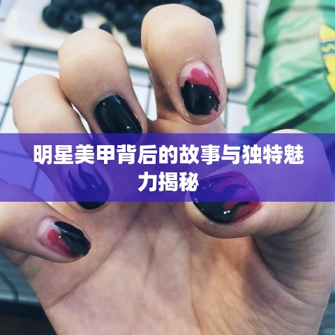 明星美甲背后的故事与独特魅力揭秘