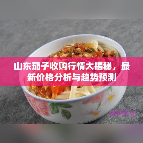 山东茄子收购行情大揭秘，最新价格分析与趋势预测