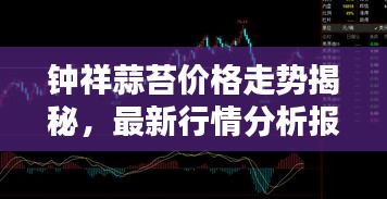 钟祥蒜苔价格走势揭秘，最新行情分析报告