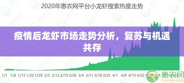 疫情后龙虾市场走势分析，复苏与机遇共存
