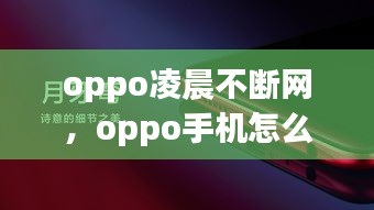 oppo凌晨不断网，oppo手机怎么会自动断网 